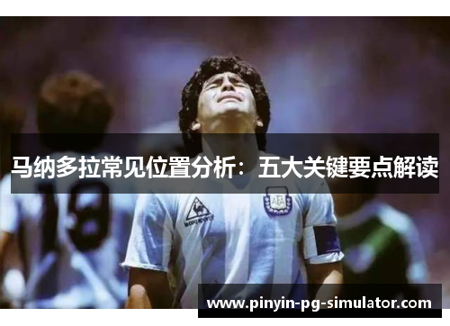 马纳多拉常见位置分析：五大关键要点解读