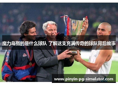 魔力鸟指的是什么球队 了解这支充满传奇的球队背后故事