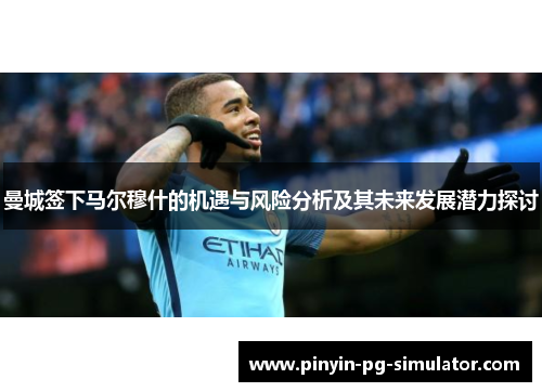 曼城签下马尔穆什的机遇与风险分析及其未来发展潜力探讨