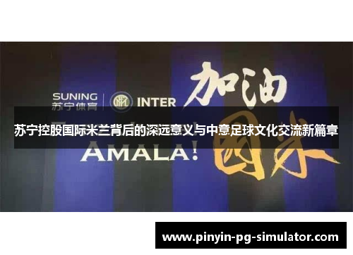 苏宁控股国际米兰背后的深远意义与中意足球文化交流新篇章