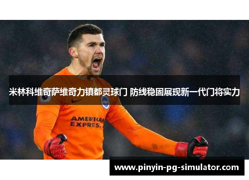米林科维奇萨维奇力镇都灵球门 防线稳固展现新一代门将实力